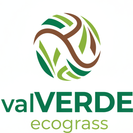 cropped logo pagina web 1.png